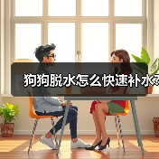 狗狗脱水怎么快速补水?（图2）