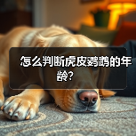 怎么判断虎皮鹦鹉的年龄？（图1）