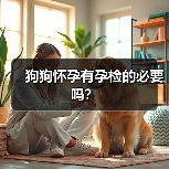 狗狗怀孕有孕检的必要吗？（图3）