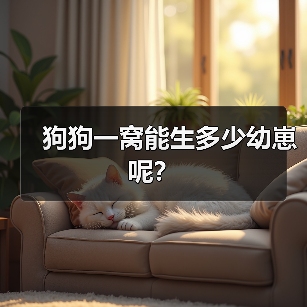 狗狗一窝能生多少幼崽呢？（图1）