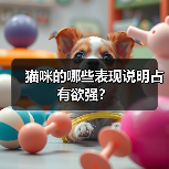 猫咪的哪些表现说明占有欲强？（图3）