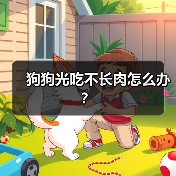 狗狗光吃不长肉怎么办？（图2）