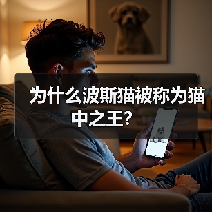 为什么波斯猫被称为猫中之王？（图2）