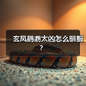玄凤鹦鹉太凶怎么驯服？（图3）