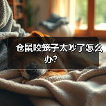 仓鼠咬笼子太吵了怎么办？（图3）
