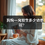 狗狗一窝能生多少幼崽呢？（图4）