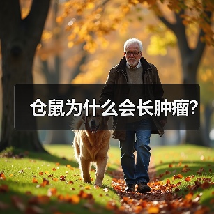 仓鼠为什么会长肿瘤？