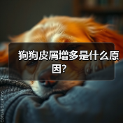 狗狗皮屑增多是什么原因？