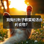 狗狗拉肚子恢复期适合的食物？