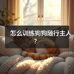 怎么训练狗狗随行主人？（图1）