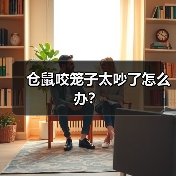 仓鼠咬笼子太吵了怎么办？（图1）
