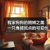 我家狗狗的斑斓之美（一只身披斑点的可爱伙伴）（图2）