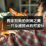 我家狗狗的斑斓之美（一只身披斑点的可爱伙伴）（图4）