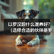 以罗汉跟什么混养好？（选择合适的伙伴是罗汉鱼健康生活的关键）（图2）