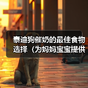泰迪狗催奶的最佳食物选择（为妈妈宝宝提供营养丰富的泰迪狗催奶饮食）（图2）