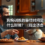 狗狗训练的最佳时间是什么时候？（找出适合您和宠物的理想训练时间）（图2）