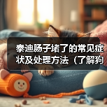 泰迪肠子堵了的常见症状及处理方法（了解狗狗肠子堵塞带来的问题，及时处理避免风险）（图1）