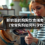 断奶前的狗狗饮食指南（宝宝狗狗如何科学饮食，健康成长）（图4）