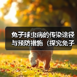 兔子球虫病的传染途径与预防措施（探究兔子球虫病的传播途径及防治）（图3）