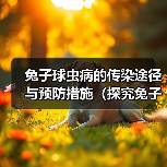 兔子球虫病的传染途径与预防措施（探究兔子球虫病的传播途径及防治）（图1）