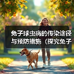 兔子球虫病的传染途径与预防措施（探究兔子球虫病的传播途径及防治）（图4）