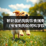 断奶前的狗狗饮食指南（宝宝狗狗如何科学饮食，健康成长）（图1）
