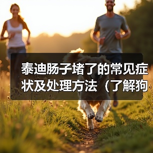 泰迪肠子堵了的常见症状及处理方法（了解狗狗肠子堵塞带来的问题，及时处理避免风险）（图4）