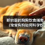 断奶前的狗狗饮食指南（宝宝狗狗如何科学饮食，健康成长）（图3）