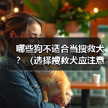 哪些狗不适合当搜救犬？（选择搜救犬应注意的关键因素）（图2）