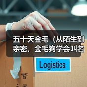 五十天金毛（从陌生到亲密，金毛狗学会叫名字的奇幻旅程）（图4）