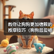 教你让狗狗更加信赖的按摩技巧（狗狗最爱被摸哪里？学会这些按摩技巧让你的狗狗更信任你！）（图2）