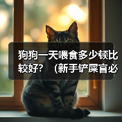 狗狗一天喂食多少顿比较好？（新手铲屎官必看，了解适合狗狗的饮食频率及注意事项）（图1）