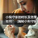 小狗守家的时长及效果如何？（揭秘小狗守家的神奇能力与限制）（图4）