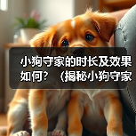 小狗守家的时长及效果如何？（揭秘小狗守家的神奇能力与限制）（图2）