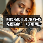 阿拉斯加什么时候开始吃硬狗粮？（了解阿拉斯加适应硬狗粮的时间及方法）（图1）