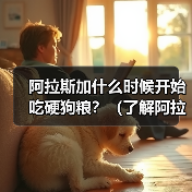 阿拉斯加什么时候开始吃硬狗粮？（了解阿拉斯加适应硬狗粮的时间及方法）（图4）