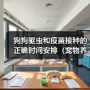 狗狗驱虫和疫苗接种的正确时间安排（宠物养护必须知道的关键信息）（图2）