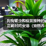 狗狗驱虫和疫苗接种的正确时间安排（宠物养护必须知道的关键信息）（图4）
