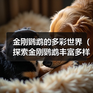 金刚鹦鹉的多彩世界（探索金刚鹦鹉丰富多样的羽毛颜色）（图4）