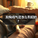 狗狗疝气是怎么引起的？（图4）
