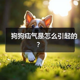 狗狗疝气是怎么引起的？（图2）