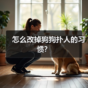怎么改掉狗狗扑人的习惯？（图4）