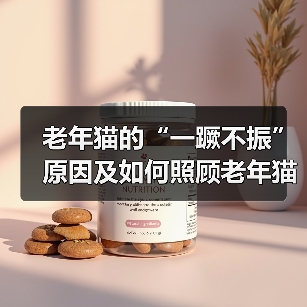 老年猫的“一蹶不振”原因及如何照顾老年猫（老年猫出现这几种迹象，说明它的时间已经不多了）（图4）