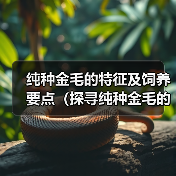 纯种金毛的特征及饲养要点（探寻纯种金毛的迷人特征和养护技巧）（图1）