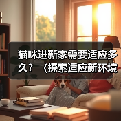 猫咪进新家需要适应多久？（探索适应新环境所需的时间和方法）（图2）