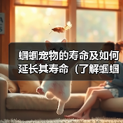 蝈蝈宠物的寿命及如何延长其寿命（了解蝈蝈宠物的寿命、提供适宜的环境和饮食来延长其寿命）（图2）