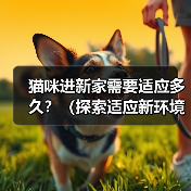 猫咪进新家需要适应多久？（探索适应新环境所需的时间和方法）（图1）