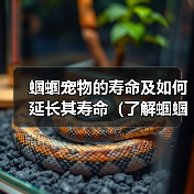 蝈蝈宠物的寿命及如何延长其寿命（了解蝈蝈宠物的寿命、提供适宜的环境和饮食来延长其寿命）（图3）
