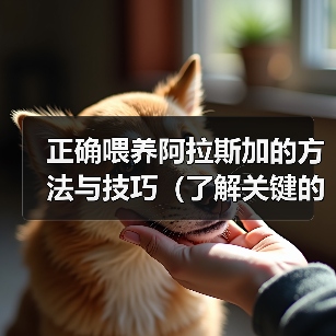 正确喂养阿拉斯加的方法与技巧（了解关键的喂养需求，给你的阿拉斯加提供健康饮食）（图4）