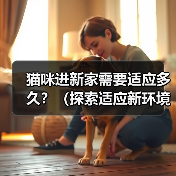 猫咪进新家需要适应多久？（探索适应新环境所需的时间和方法）（图3）